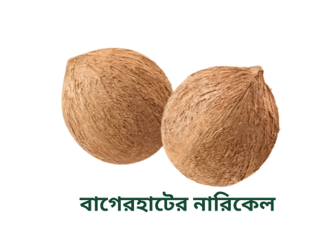 Coconut
