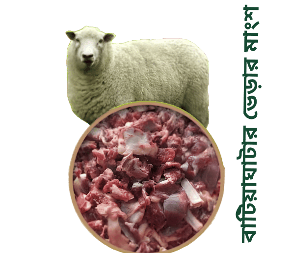 Sheep Meat