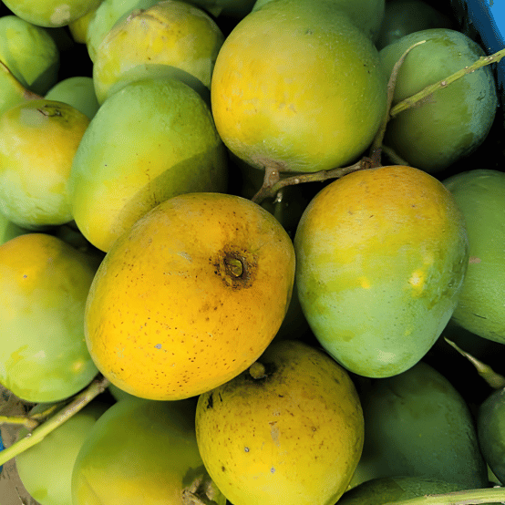 Himsagor Mango